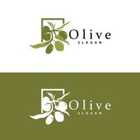 Oliva óleo logotipo, Oliva folha plantar ervas jardim vetor, simples elegante luxuoso ícone Projeto modelo ilustração vetor