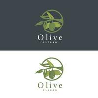 Oliva óleo logotipo, Oliva folha plantar ervas jardim vetor, simples elegante luxuoso ícone Projeto modelo ilustração vetor