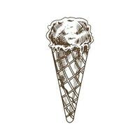 uma desenhado à mão esboço do uma waffle cone com congeladas iogurte ou suave gelo creme. vintage ilustração. elemento para a Projeto do rótulos, embalagem e cartões postais. vetor