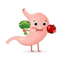 saudável alegre humano estômago personagem com legumes e frutas. saudável dieta. anatomia do a digestivo sistema. vetor dentro plano estilo