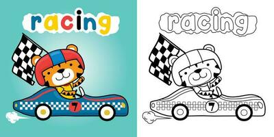 fofa tigre vestindo capacete em corrida carro carregando xadrez bandeira. coloração livro ou página vetor