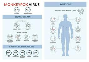 varicela vírus transmissão e sintomas. linear vetor infográfico. pessoas espalhando infecção a partir de macaco
