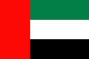 Unidos árabe Emirados bandeira, nação bandeira Projeto. vetor