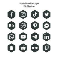 popular social rede símbolos, social meios de comunicação logotipo ícones coleção vetor