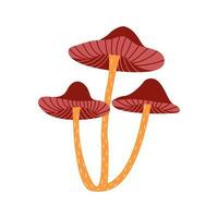 três fabuloso cogumelos. vetor mão desenhado colorida