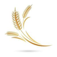 espigas de trigo, centeio, cevada. ícone dourado, design elegante, vetor