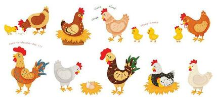 desenho animado engraçado galinhas, galinhas e galos, fofa garotas. frango em ninho com ovos, pequeno pintinho e mãe galinha, Fazenda pássaro animais vetor conjunto