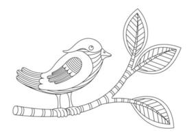 livro para colorir com um pássaro em um galho em um fundo branco vetor