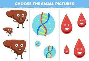 Educação jogos para crianças escolher a pequeno cenário do fofa desenho animado fígado dna sangue imprimível anatomia planilha vetor