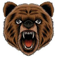 ilustração vetorial de cabeça de urso vetor