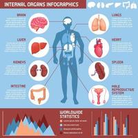 ilustração vetorial de infográficos de órgãos internos humanos vetor