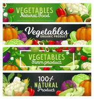legumes e Fazenda legumes, Comida colheita faixas vetor