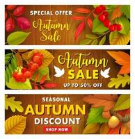 outono venda vetor promo faixas com outono folhas