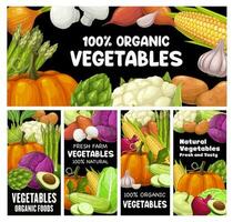 legumes vetor faixas Fazenda orgânico cru legumes