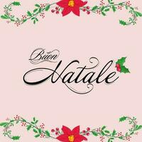 alegre Natal caligrafia dentro italiano língua com azevinho bagas e poinsétia flores em Rosa fundo. vetor