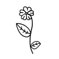 flor dentro esboço rabisco plano estilo para coloração. simples floral elemento plantar folhas decorativo Projeto. mão desenhado linha arte. criativo esboço. vetor ilustração isolado em branco fundo.