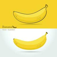 banana fruta. vetor ilustração