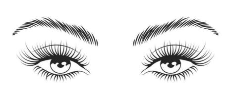 Preto e branco ilustração do fêmea olhos com grandes cílios e sobrancelhas. beleza logotipo, Cílio salão logotipo vetor