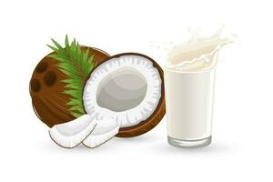 coco, metade uma coco, peças do coco e uma vidro do leite com salpicos em uma branco fundo. ilustração, vetor
