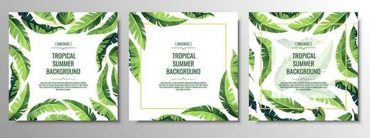 conjunto do tropical cartões, bandeiras, fundos, folhetos com verde Palma folhas. verão ilustração para impressão convites, cartões, etc vetor