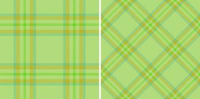 tartan padronizar fundo. desatado textura vetor. tecido xadrez têxtil verificar. vetor