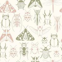 fundo com mão desenhado insetos ilustrações. mariposa, besouro, erro, libélula. entomológico desatado padronizar vetor
