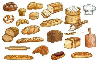pão e pastelaria cor isolado vetor esboços