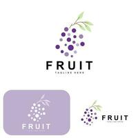 uva logotipo, Fazenda fruta vetor, fresco roxa fruta projeto, uva produtos ícone, fruta fazer compras vetor