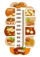 altura gráfico, crianças crescimento régua com desenho animado nozes vetor