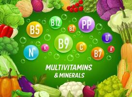 multivitaminas e minerais dentro Fazenda legumes vetor