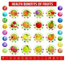 gráfico mesa conteúdo vitaminas, minerais dentro frutas, vetor