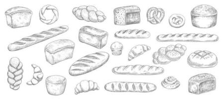 pão e padaria esboços, gravado pastelaria vetor