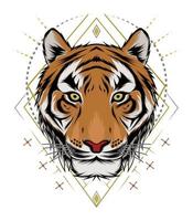 ilustração de cabeça de tigre. design tigre. design para camiseta, mascote, equipe de logotipo, esporte, impressão em metal, arte de parede, adesivo vetor