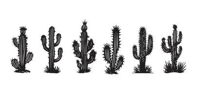 conjunto de cactos ilustrações desenhadas à mão, vetor