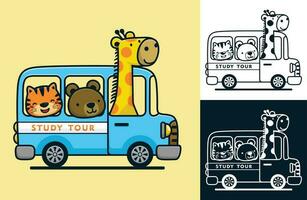 engraçado animais em ônibus. vetor desenho animado ilustração dentro plano ícone estilo