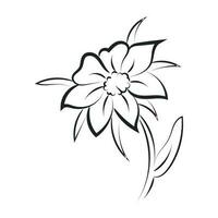 simples esboço com uma flor e sair vetor ilustração esboço mão desenhado para impressão ou usar Como poster, cartão, tatuagem ou t camisa