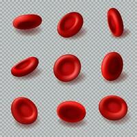 vermelho sangue células 3d vetor hemoglobina, hematologia