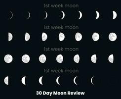 uma gráfico do a lua Reveja com a encontro do a mês. 30 dia lua definir, lua análise. 30 dia lua análise. lua fases astronomia ícones definir, vetor ilustração. isolado esboço símbolo.