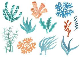 algas. aquário, oceano e submarino algas. naufrágios, laminaria, kelp marinho tropical água vida. desenho animado vetor ilustração isolado em branco fundo.