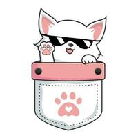 branco gato dentro bolso - fofa branco bichano gato dentro bolsa vetor - legal com oculos de sol