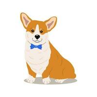 corgi. fofa cachorro em uma branco fundo. vetor ilustração.