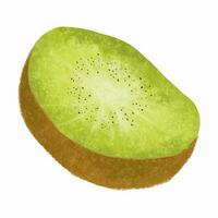 kiwi fruta isolado em branco fundo. mão desenhado ilustração. vetor