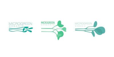 conjunto do florística logotipos para microgreens, símbolos do orgânico produtos. mini plantas para germinação. vetor na moda plano ilustrações para Projeto.