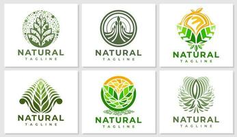 luxo ervas natureza plantar logotipo Projeto definir. elegância orgânico folha vegano logotipo. vetor