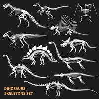 dinossauros esqueletos ícones lousa definir ilustração vetorial vetor