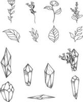 vetor de plantas e cristais desenhados à mão