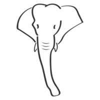elefante vetor ilustração Projeto