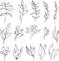 conjunto do uma decorativo estilizado botânico flores e folhas isolado em branco fundo. altamente detalhado botânica linha desenhando e rabiscar arte, minimizar botânico tatuagem Projeto. vetor