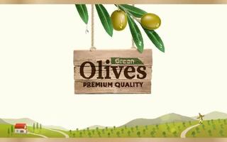 etiqueta verde-oliva com ramo de oliveira realista em fundo de fazenda verde-oliva