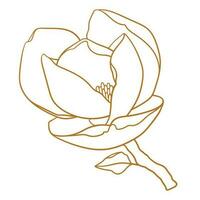 magnólia flor com ramo dentro ouro cor. vetor